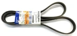 Gm Serpentine Belt Made The Usa 15625165 Nos. Fixed Price $30.86.