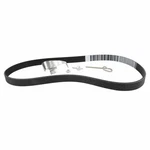 Serpentine Belt Motorcraft JK6-441-A Fits 17-19 Ford Escape 1.5L-L4. Fixed Price $101.99.