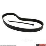 Serpentine Belt Motorcraft JK6-342-A Fits 11-16 Ford F-150 5.0L-V8. Fixed Price $39.99.