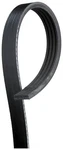 Serpentine Belt. Fixed Price $28.02.