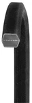 Dayco P N BB81. Fixed Price $48.64.
