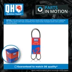 Rib Multi Drive Belt QBR61250 Quinton Hazell 04861733AC 4861722AB. Fixed Price $19.60.