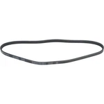 1602-360094 Serpentine Belt. Fixed Price $22.99.