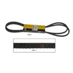 4N8771 Belt SET(2) Fits Caterpillar 224 928G 3054B 3114 3116 3126 3208 C4.4. Fixed Price $14.18.