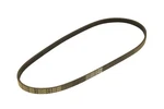 Genuine Gm Air Conditioning Compressor Belt 12622244. Fixed Price $19.66.