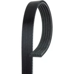 Acdelco 5K344 Professional Serpentine Belt, Standard, V Ribbed. Fixed Price $49.08.