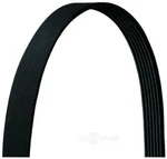 Serpentine Belt Dayco 5070653DR. Fixed Price $30.20.