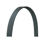 Dayco 5060680DR Ribbed, Drive Rite Traditional. Fixed Price $33.64.
